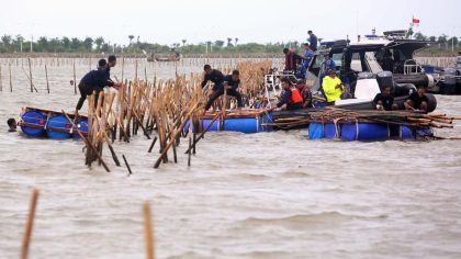 Pembongkaran pagar laut di pesisir Tangerang yang dilakukan oleh TNI AL dan KKP.